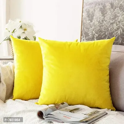 Khooti Velvet Cushion Cover-thumb2