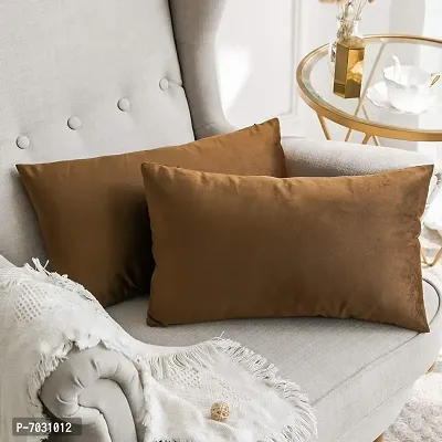 Khooti Velvet Cushion Cover (Pack of 2)