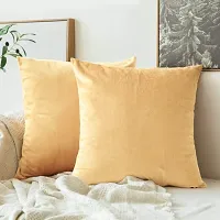 Khooti Velvet Cushion Cover-thumb1