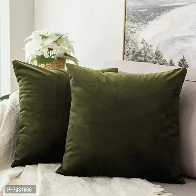 Khooti Velvet Cushion Cover (Pack of 2)