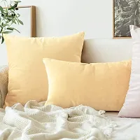 Khooti Velvet Cushion Cover-thumb3