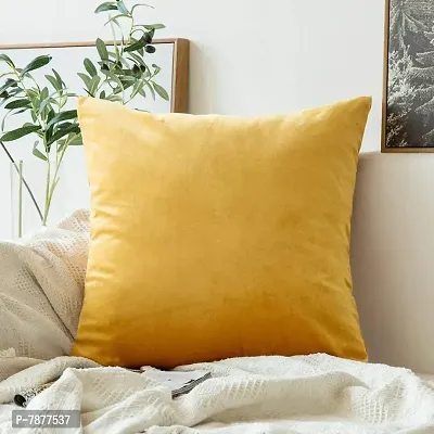 Khooti Velvet Cushion Cover