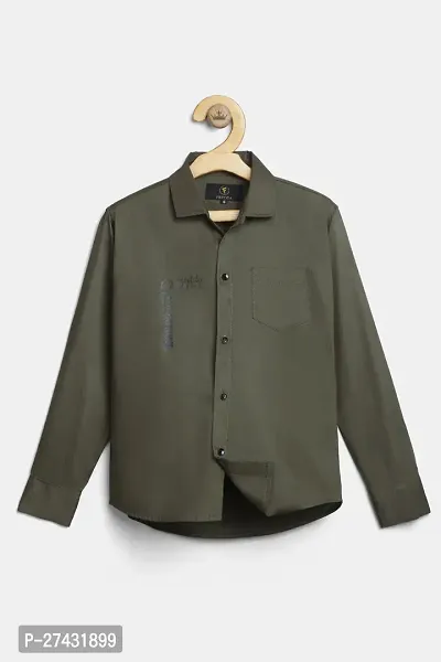 Stylish Green Cotton Blend Solid Shirts For Boys