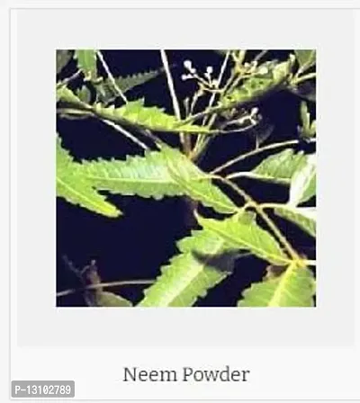 NEEM POWDER