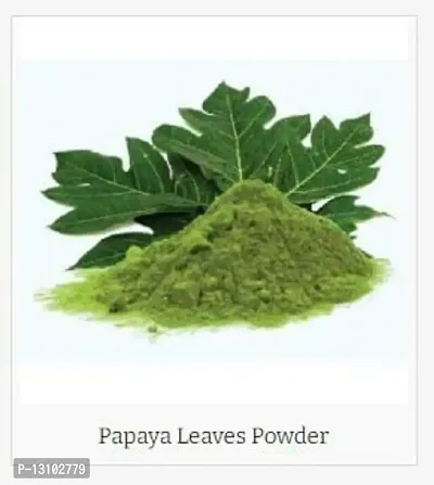 PAPAYA LEAVES POWDER