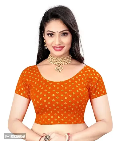 Womans Readymade Stretchable Blouse