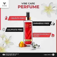 VIBE Perfume For Men Eau De Parfum Long Lasting Fragrance Spray With Amber  White Musk Wedding Function, New Year Fragrance (100 ML)-thumb4