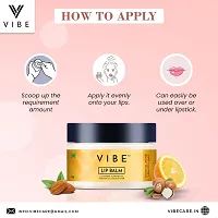 VIBE Natural Lip Balm for Women  Men Lip Care with Sweet Almond Vitamin C Shea Butter  Grapefruit Essential Oils Lip Balm for Chapped and Dry Lips (8g, Pack of 3)-thumb1