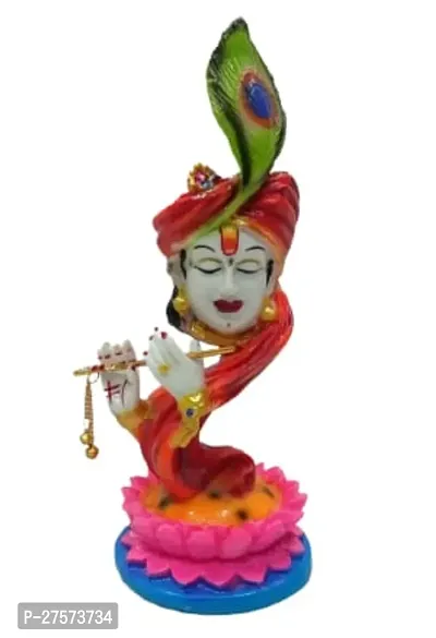 Sri Krishna Murti Multicolored