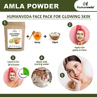 Humanveda Natural  Pure Amla Powder (Indian Gooseberry) For Skin  Hair Growth, Black Colour, Drinking and Eating (100gm x 3 =300gm)-thumb4