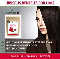 Humanveda Natural And Pure Multani Mitti Powder  Hibiscus Powder | Healing Clay | Bentonite clay | Rosa-Sinensis | For Skin  Hair Care, Hibiscus Tea - (200g+100g=300g)-thumb2