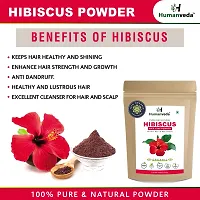 Humanveda Natural Hair care powder combo (500gm), Hibiscus, Amla, Bhringraj, Shikakai  Methi Powder (Pack of 5, 100g each)-thumb2