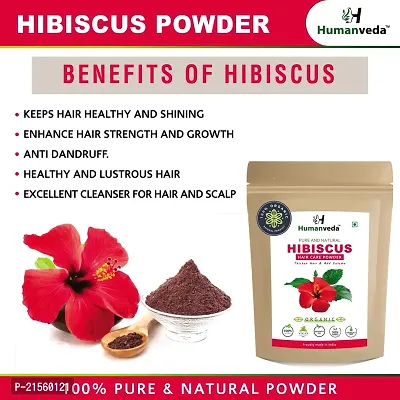 Humanveda Natural Hair care powder combo (500gm), Hibiscus, Amla, Bhringraj, Shikakai  Methi Powder (Pack of 5, 100g each)-thumb3