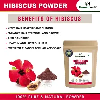 Humanveda Natural  Herbal Hibiscus + Amla + Neem Powder For Hair  Skin Treatment, Hair Growth, Dandruff, Nourishment (100g x 3 = 300g )-thumb1