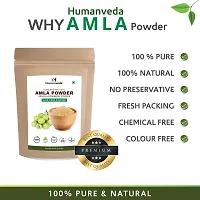 Humanveda Natural  Herbal Hibiscus + Amla + Neem Powder For Hair  Skin Treatment, Hair Growth, Dandruff, Nourishment (100g x 3 = 300g )-thumb4