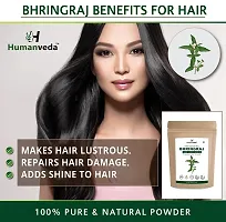 Humanveda Natural  Herbal Bhringraj Powder (Eclipta Alba/False Daisy) For Hair Growth, Nourishment Of Skin And Hair (100 x 3 =300gm)-thumb3