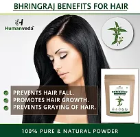 Humanveda Natural  Herbal Bhringraj Powder (Eclipta Alba/False Daisy) For Hair Growth, Nourishment Of Skin And Hair (100 x 3 =300gm)-thumb2