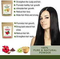 Humanveda Pure  Natural Amla Reetha Shikakai Bhringraj Hibiscus  Neem Powder for Hair  Skin | Hair Mask | Face Pack | For Dry And Frizzy Hair, Glowing Skin (100*6 = 600gm)-thumb3