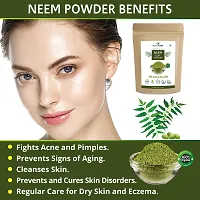 Humanveda Pure  Natural Amla Reetha Shikakai Bhringraj Hibiscus  Neem Powder for Hair  Skin | Hair Mask | Face Pack | For Dry And Frizzy Hair, Glowing Skin (100*6 = 600gm)-thumb2