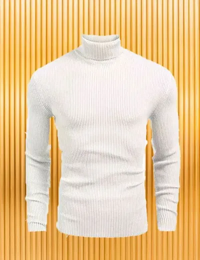 Buy STYLISH HI NECK SWEAT Sweaters White Online In India At Discounted  Prices