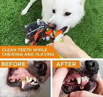 Dog Chew Rope Puppy Teething Toys, Pet Bone, Pack of 5 for Dogs Accessories pet Toys Dog teether Toy for Small and Medium Dogs Puppies - Color May Vary-thumb4