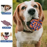 Rope Toys for Dogs, Puppy Chew Teething Rope Toys Set of 4 Durable Cotton Dog Toys for Playing and Teeth Cleaning Training Toy - Color May Vary-thumb1