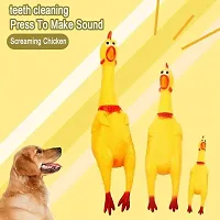 Large Size Squawking Chicken Rubber Squeeze Dog Toys with Sound I BPA Free I Chemical Free I Squeaky and Screaming Chicken Toy for Pets or Kids I Safe  Non-Toxic Dog Toy-thumb3