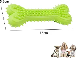 Pack of 2 Dog Toys I Squeaky Chicken + Bone for Dogs I 100% Natural Rubber I Safe  Non-Toxic Chew Toys for Dogs I Puppy Teething  Dental Cleaning for Puppies/Dogs-thumb4