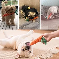 Pack of 2 Dog Toys I Squeaky Chicken + Carrot Rope Dog Toys I 100% Natural Rubber I Safe  Non-Toxic Chew Toys for Dogs I Puppy Teething  Dental Cleaning for Puppies/Dogs-thumb3