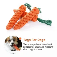 Pack of 2 Dog Toys I Squeaky Chicken + Carrot Rope Dog Toys I 100% Natural Rubber I Safe  Non-Toxic Chew Toys for Dogs I Puppy Teething  Dental Cleaning for Puppies/Dogs-thumb1