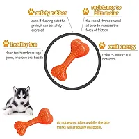 Dog Grooming Kit Bath Brush| | Toothbrush | Pet Grooming Glove for Dogs and Chew Rubber Bone for Dogs - Color May Vary-thumb3