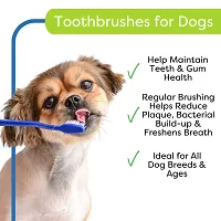 Dog Grooming Kit Bath Brush| | Toothbrush | Pet Grooming Glove for Dogs and Chew Rubber Bone for Dogs - Color May Vary-thumb4