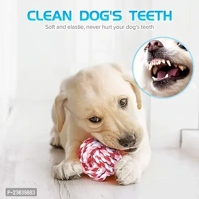 Dog Chew Toys for Medium Dogs Durable Rope Dog Toys for Aggressive Chewers, Rubber Bathing Glove for Dog, Spike Bone Teeth Cleaning for Medium Breeds - Color May Vary-thumb5