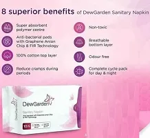 Dew Garden Sanitary Napkin with Wings (10 Pcs - 6 Day Pads and 4 Night Pads) Pack of 2-thumb1