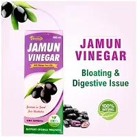 Jamun Vinegar-thumb2