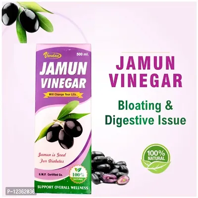 Jamun Vinegar-thumb3