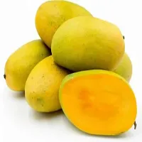 Natural Mango Plant-thumb1