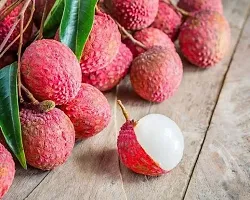 Natural Litchi Plant-thumb1