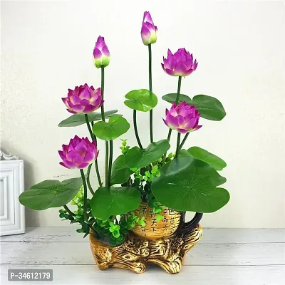 Natural Lotus Plant-thumb0