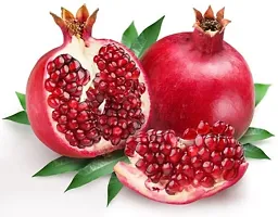 Natural Pomegranate Plant-thumb1