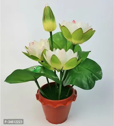 Natural Lotus Plant-thumb0