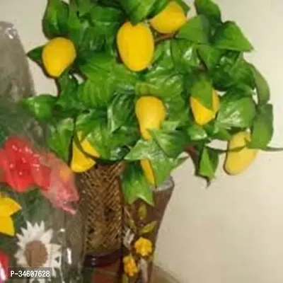 Natural Mango Plant-thumb0