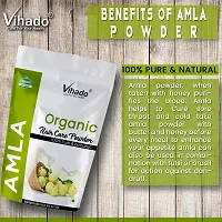 Vihado Amla  Powder -50g (Pack of 1)-thumb1