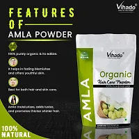 Vihado Amla  Powder -50g (Pack of 1)-thumb3