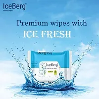 Ice Berg Wet Wipes Tissues For Cleaning Face Body Multipurpose Daily Cleansing Face Wipes Thick  Soft Makeup Remover Wet Wipes 25 Pcs/1Pack-thumb1