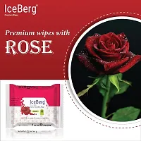 Ice Berg Wet Wipes Tissues For Cleaning Face Body Multipurpose Daily Cleansing Face Wipes Thick  Soft Makeup Remover Wet Wipes 25 Pcs/1Pack-thumb2