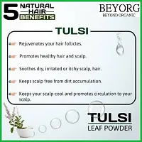 BEYORG Tulsi Powder for Tea, Face and Hair | Pure and Natural | Basil Leaves Powder (100g)-thumb1