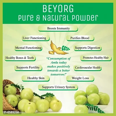 Organic Amla Indian Gooseberry Powder for Hair and skin (100G)-thumb2
