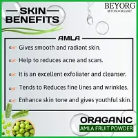 Organic Amla Indian Gooseberry Powder for Hair and skin (100G)-thumb2
