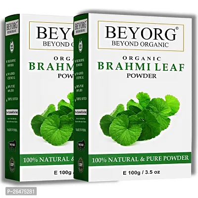 Brahmi Powder Organic For Hair Growth, Control Hair Fall, Natural Hair Shampoo - 100g each Pack of 2